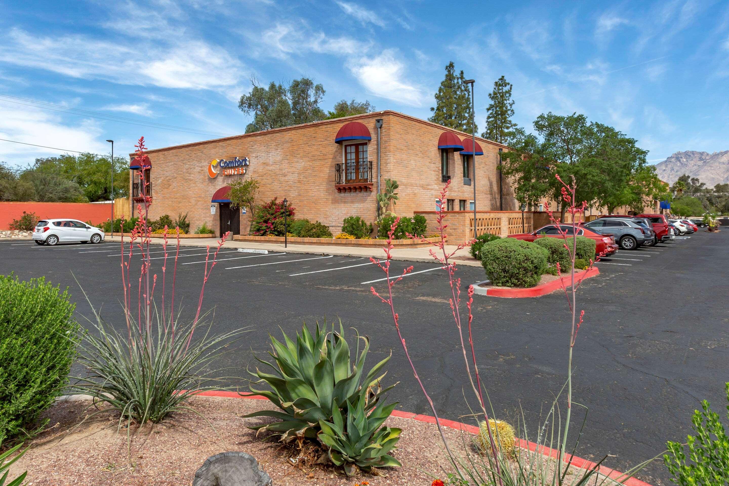 Comfort Suites At Sabino Canyon Tucson Eksteriør billede
